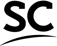 Payment option icon